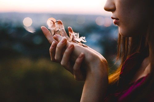 Frau mit Blick in ihre geöffnete Hand in der Pustblumen sind